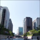 청계천 Daum카페