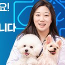 미르동물의료센터 이미지