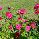 산들농원 이미지