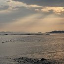 신동습지 이미지