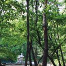 청룡사지길 이미지