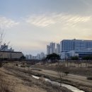 기쁨뜰근린공원 족구장 | 세종시 기쁨뜰 근린공원♪ 도담동 기쁨뜰 근린공원 둘레길 산책해요 :)