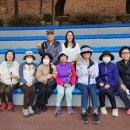 노르딕워킹 이미지