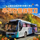 (주)신동아전세관광 네이버블로그