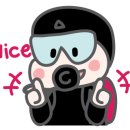 헤이다이버스