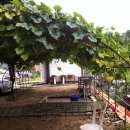 머무름 오토캠핑장 전 이미지