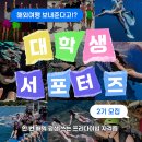 해외여행 보내주는 대학생 대외활동 추천 고고다이브 서포터즈 2기 모집 | 1기후기