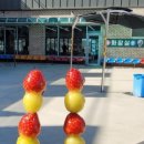 로얄카바나 이미지