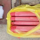 LX국토정보박물관 | LX 한국국토정보공사 경계측량 후기 – 농사와 정원을 시작하기 전 꼭 필요한 절차