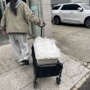 라담헤어 | 부산 웨딩스냅 바라담스튜디오 웨딩촬영 헤어메이크업 & 드레스 대여 리얼 후기