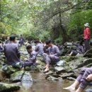 산골마을 영농조합법인 이미지