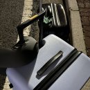 그린카센타 | 대만 고양이 페어(chanchao meow expo) 참가 후기1