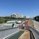 장일샐프타운 이미지