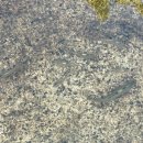 천지무도장 이미지