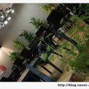 전주더블유(W)한방병원 이미지