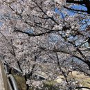 한우 사랑의 동산 이미지