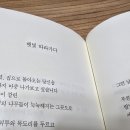 햇빛 따라가다 / 조용미 이미지