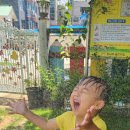 The꿈나무어린이집 이미지