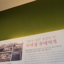 최네집 이미지