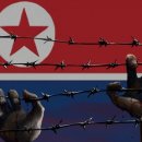 북한 내부 소식 (7월 첫주) 이미지