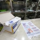 굿파파 24시 반려동물건강검진센터 이미지