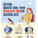 말라리아 주의보 및 경보 발령 관련 사항 이미지