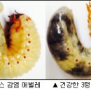 다온농장(2) 이미지