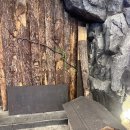 소굴 | 종각역 술집 종각술집 너구리소굴 후기