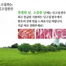 임고집 한우＆보쌈마을 이미지