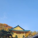 수국사 | [은평] 수국사 템플스테이 휴식형 솔직 후기