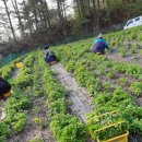 선이농장 이미지