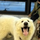 옥정숲속어린이집 네이버블로그