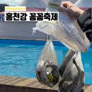 홍천읍행정복지센터 소회의실 | 강원도 겨울축제 2026 홍천강 꽁꽁축제 다녀온 꿀팁 및 후기