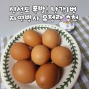 태안양계장제2농장 | 유정란 구매 꿀팁! 난각번호1번 자연방사 유정란, 양계장 청년이 직접 보내주는 신선함