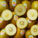 아이브릭스-수입과일 10/16 이미지