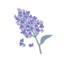 창의 보드게임 이미지