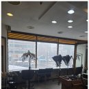 더감각
