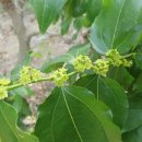 영준농장 이미지