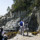 오동도 산책로입구 이미지