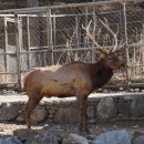 우치농장 이미지