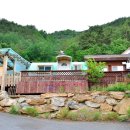 스카이펜션 Daum카페