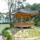 연당1로 Daum카페