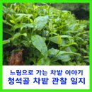 강우량측정 | 느림으로 가는 차밭 이야기 청석골 차밭 관찰 일지