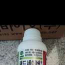 오라모터스 이미지