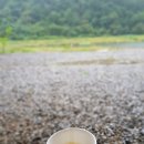 타요캠핑장 이미지