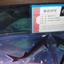 부산어촌민속관 이미지