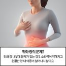 동성과일.야채 이미지