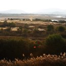 낙동강변 이미지