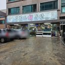 구룡포회 | 대전 가양동 구룡포 회수산 대하구이 맛집 후기