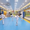 조한태권도장